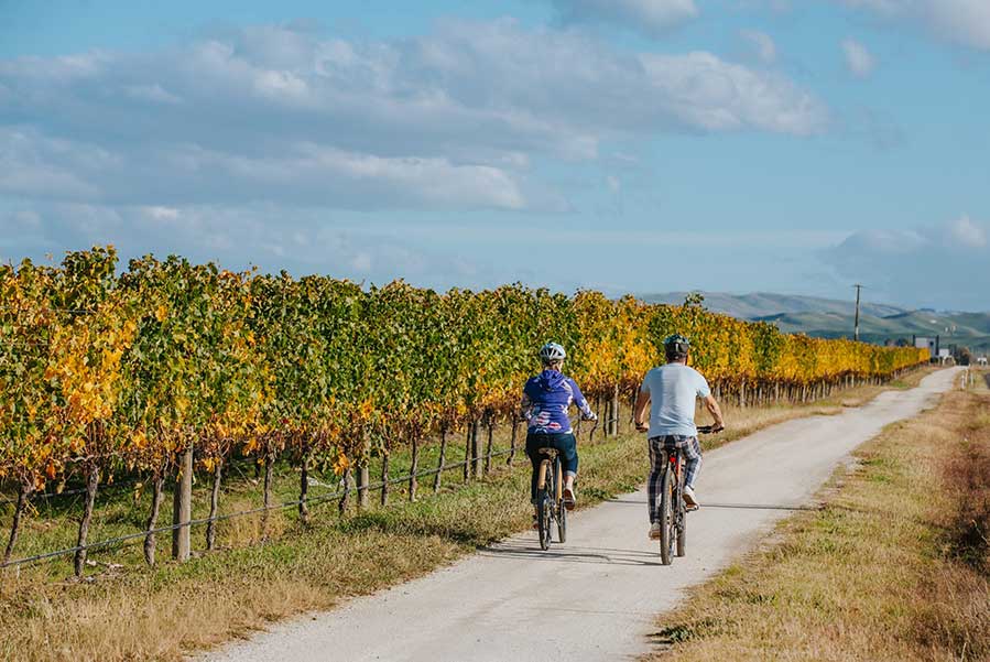 Wineries Cellar Doors Havelock North Hawke s Bay